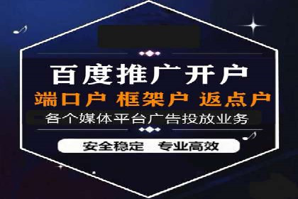某品牌SEM推广策略的成效与启示