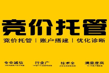 信息流广告的个性化投放策略及效果评估案例
